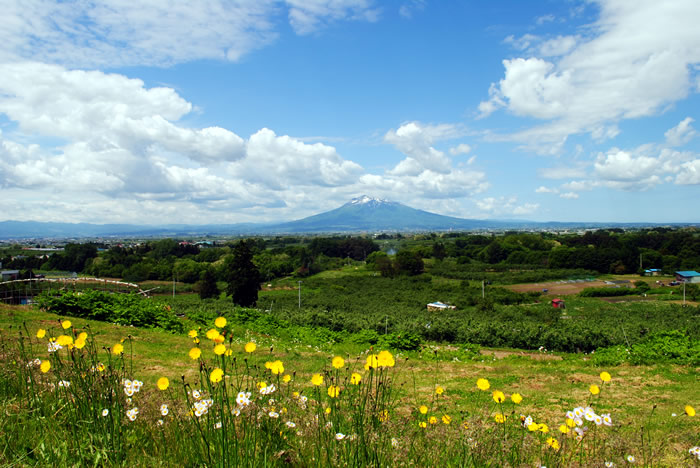 アップルヒルから見る岩木山