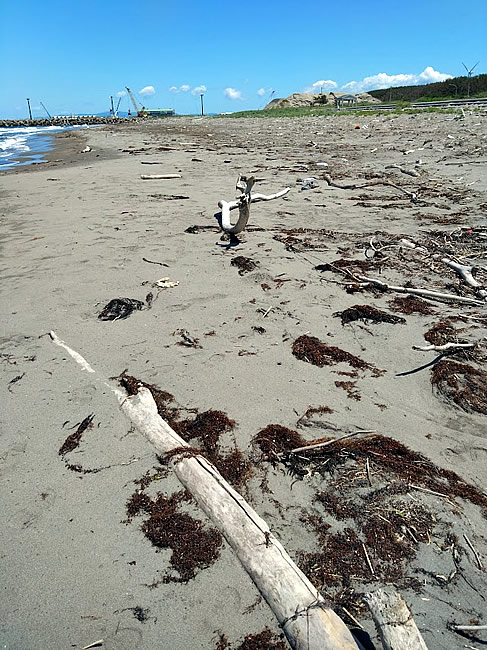 津軽港海浜公園でウォーキング&コーヒー - 60'sアラカン青森