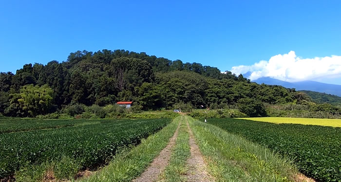 田舎の農道_02 (青森県弘前市岩木)