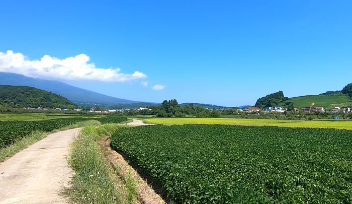 田舎の農道_03 (青森県弘前市岩木)