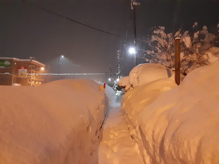 2025青森豪雪02