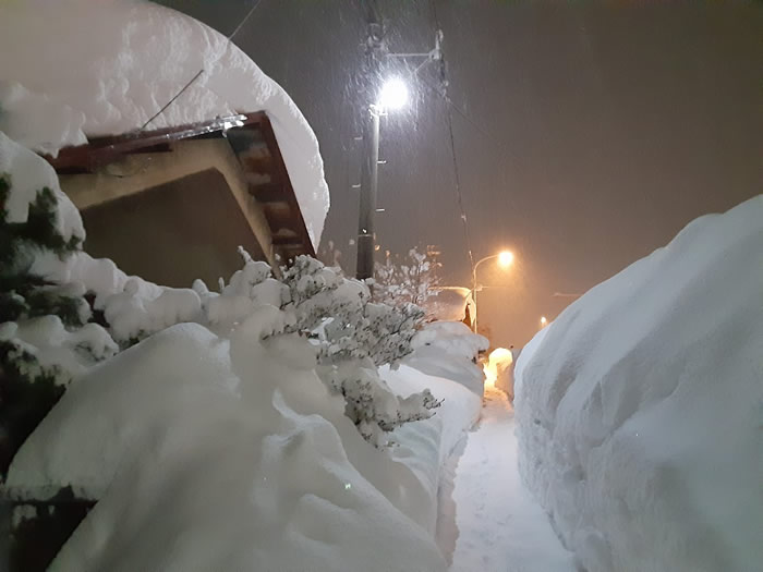 2025青森豪雪03