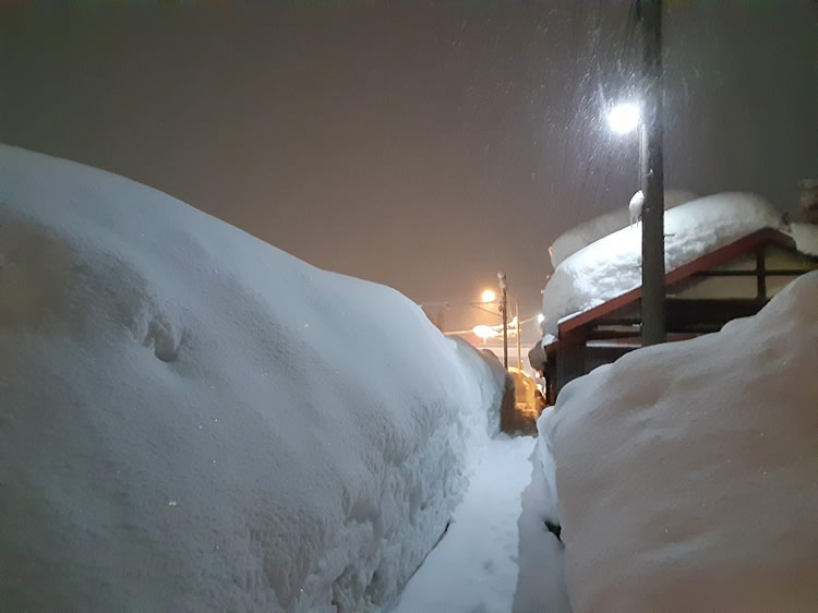 2025青森豪雪04