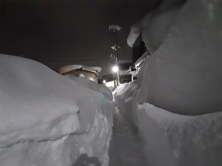 2025青森豪雪09
