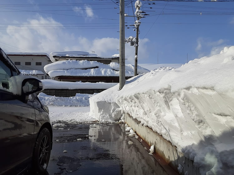 2025青森豪雪13