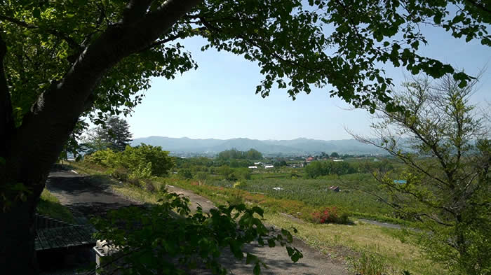 独狐の森公園から見える白神山地の稜線