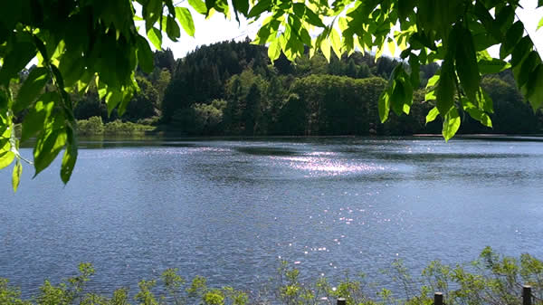 小さな農業用水ダム湖畔の風景01