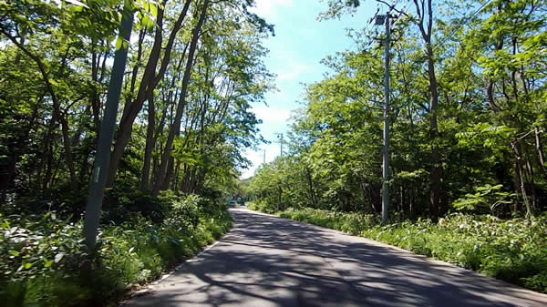 岩木山の麓 木陰の道を走る