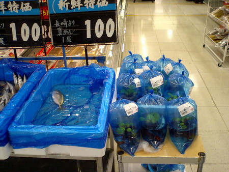 f:id:aoba105:20070504195657j:image