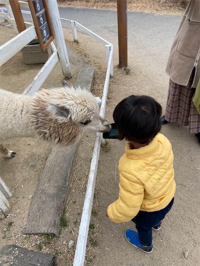 f:id:aodai2020:20220223104505j:image