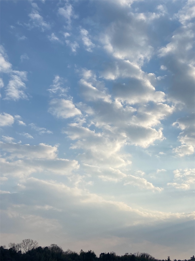 f:id:aodai2020:20220310094426j:image