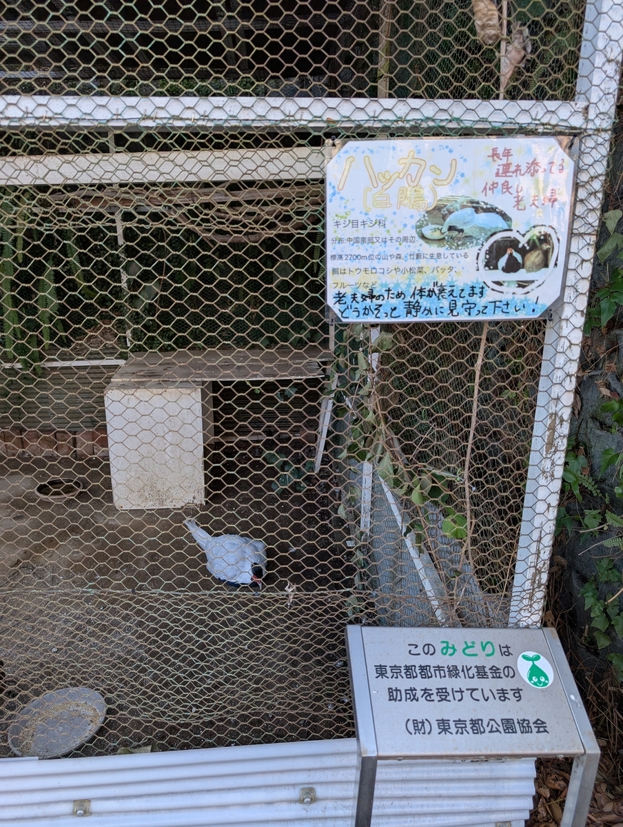 病院で飼っているハッカン。「老夫婦のため体が衰えています。どうかそっと静かに見守ってください！」の注意書きが貼られている。