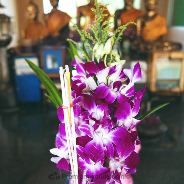 f:id:aofmaya001:20170714144705j:plain