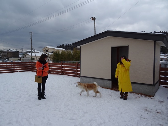 f:id:aoft291:20190203173508j:plain