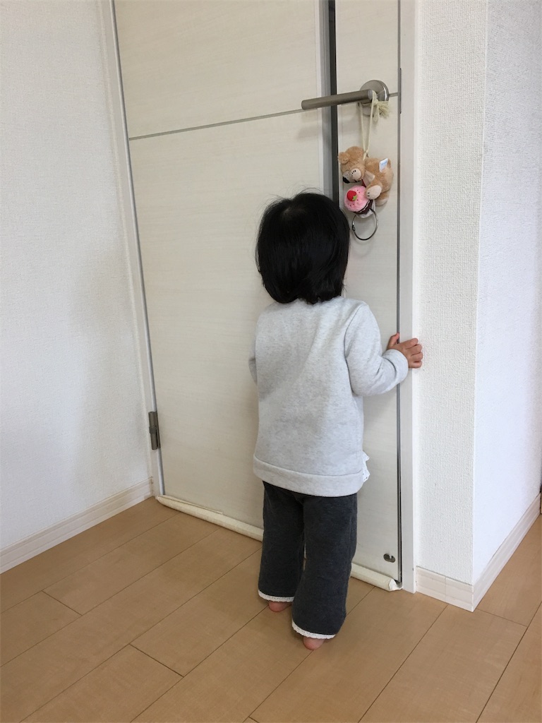 f:id:aohana:20170123202007j:image f:id:aohana:20170123202007j:image