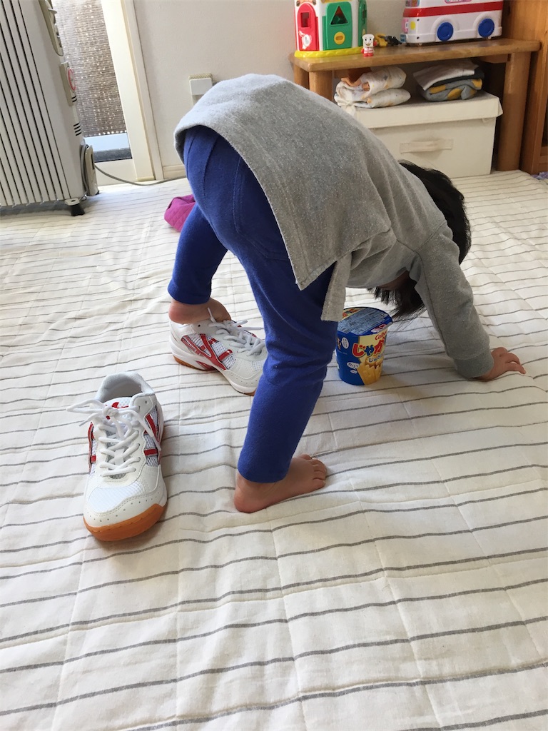 f:id:aohana:20170127103517j:image