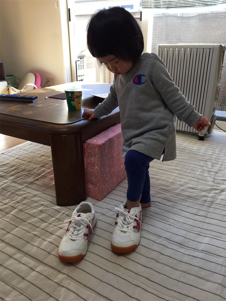 f:id:aohana:20170127103740j:image