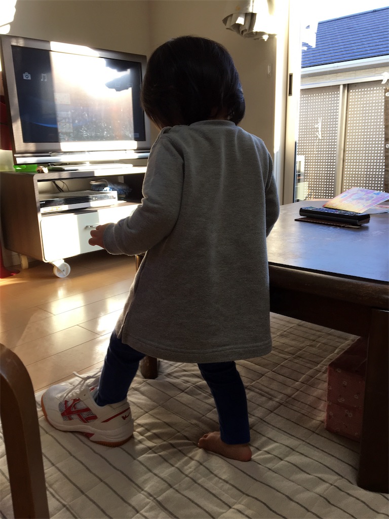 f:id:aohana:20170127103857j:image