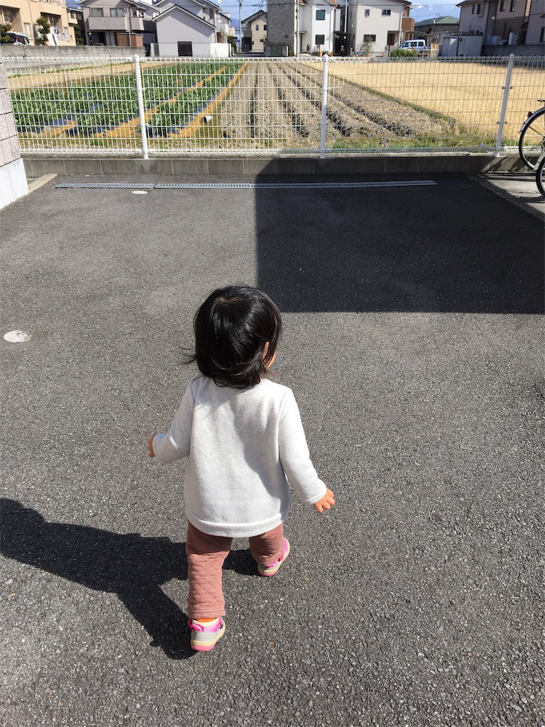 f:id:aohana:20170218120631j:image
