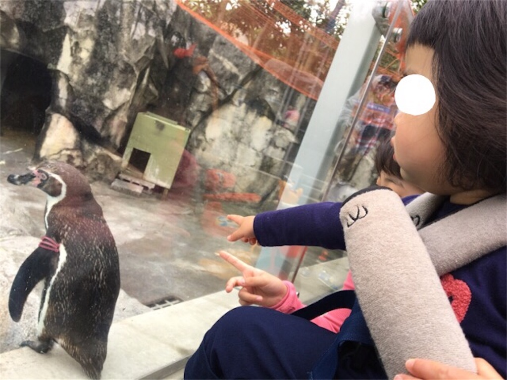 f:id:aohana:20170409174036j:image