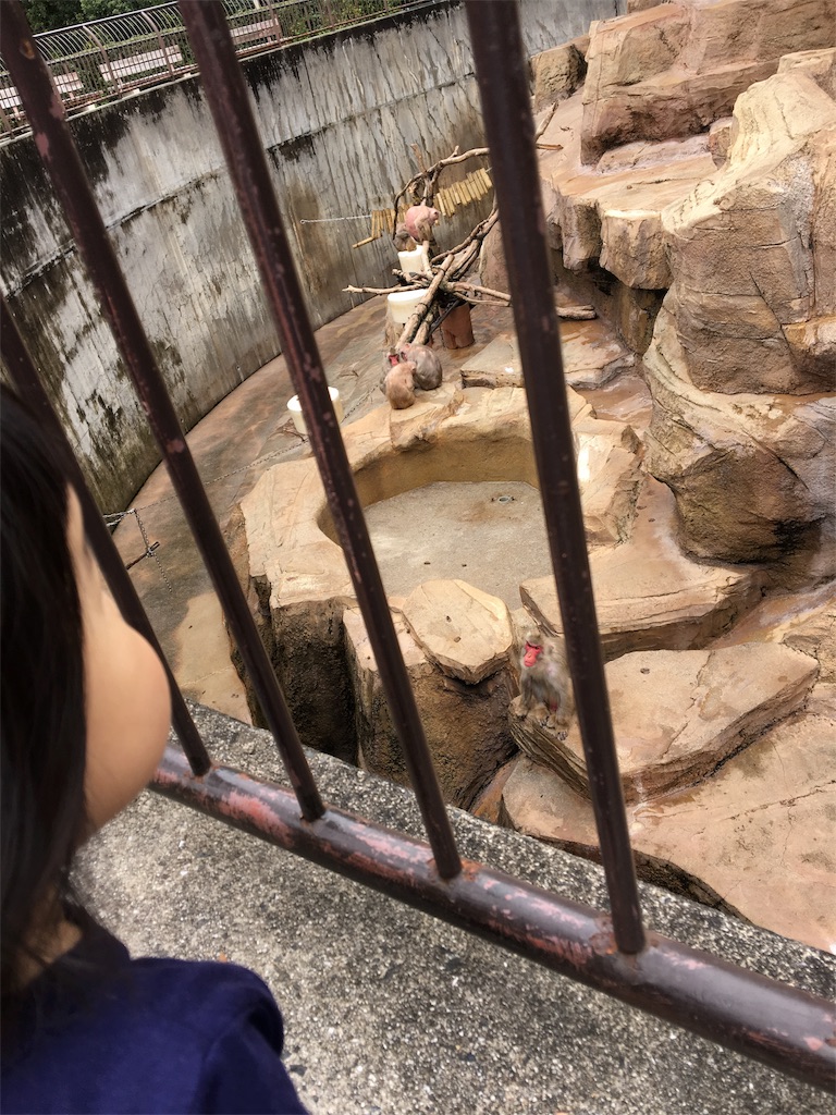 f:id:aohana:20170409174828j:image