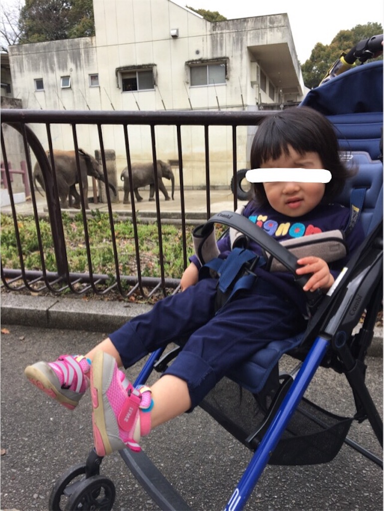 f:id:aohana:20170409183546j:image