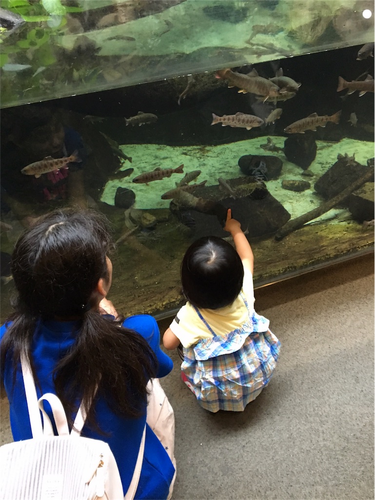 f:id:aohana:20170807231519j:image