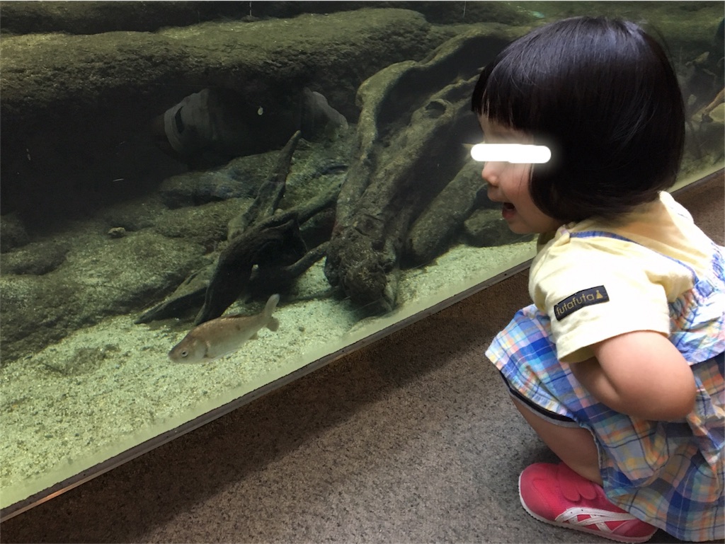 f:id:aohana:20170807231537j:image