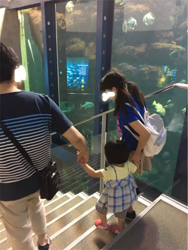 f:id:aohana:20170807231631j:image
