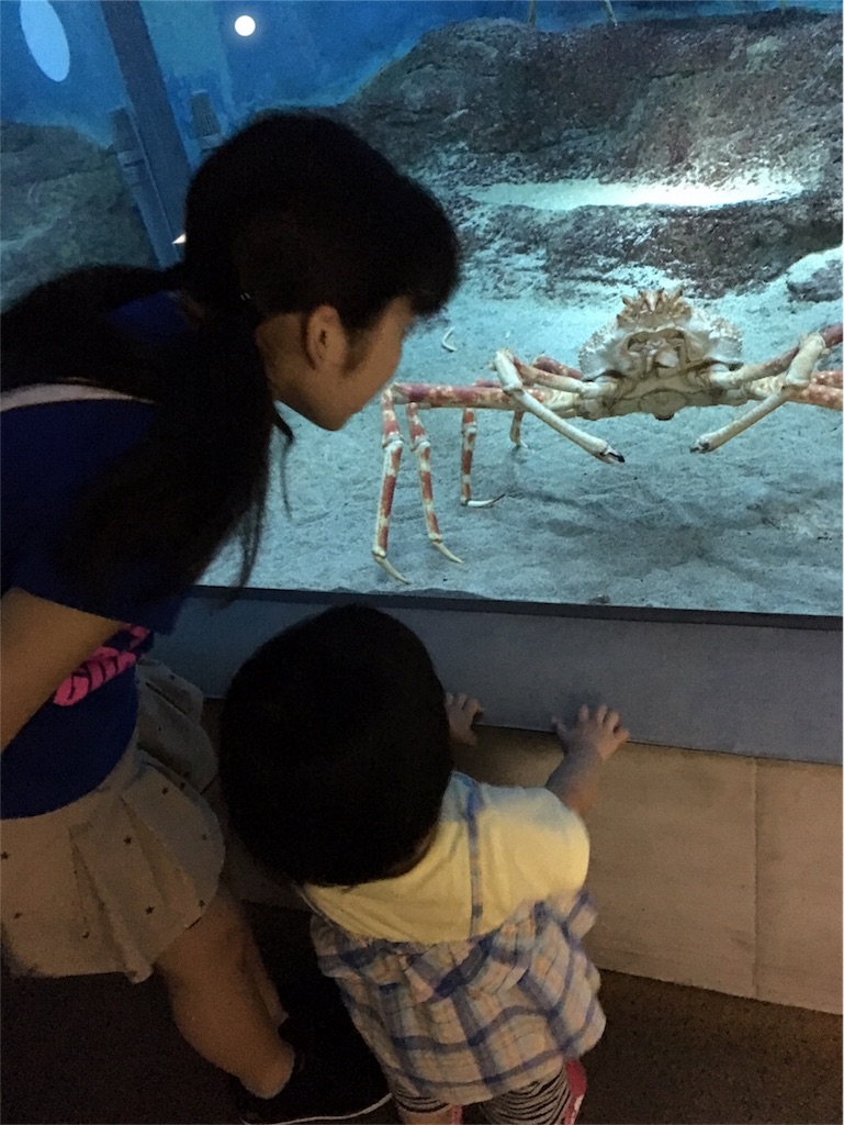 f:id:aohana:20170807231654j:image