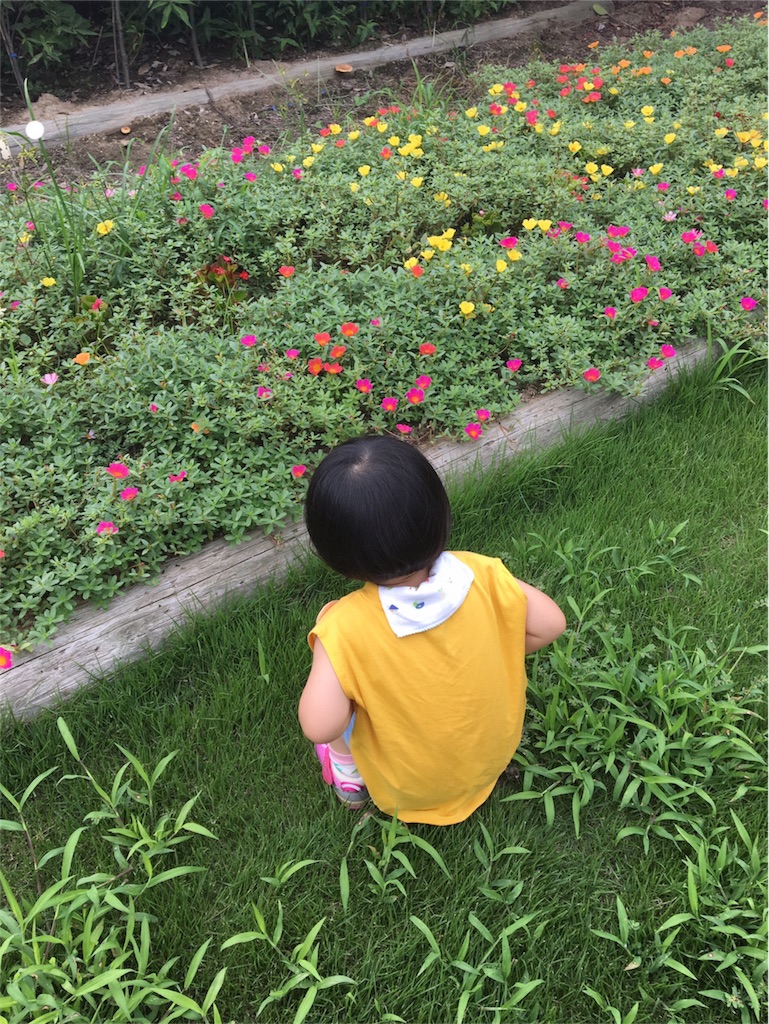 f:id:aohana:20170814234858j:image