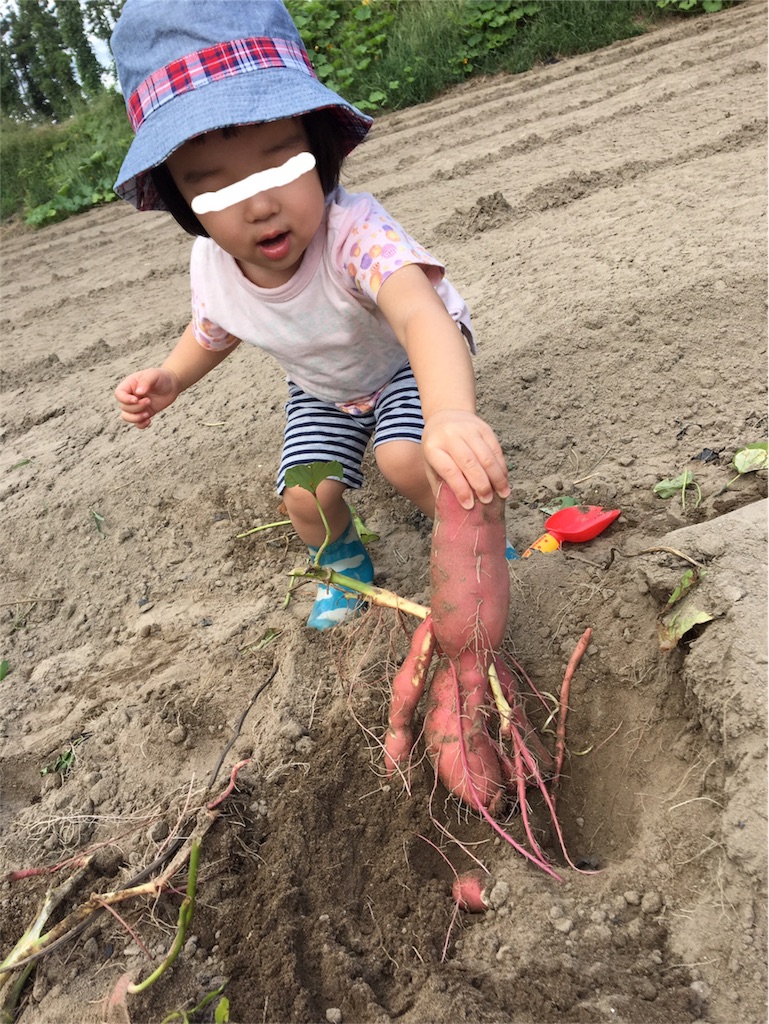 f:id:aohana:20170914204032j:image