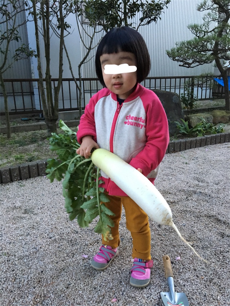 f:id:aohana:20171125214353j:image