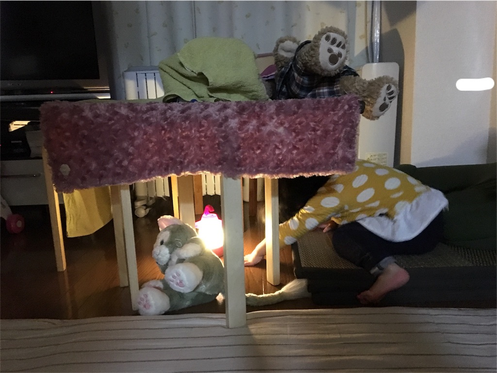 f:id:aohana:20180201161349j:image