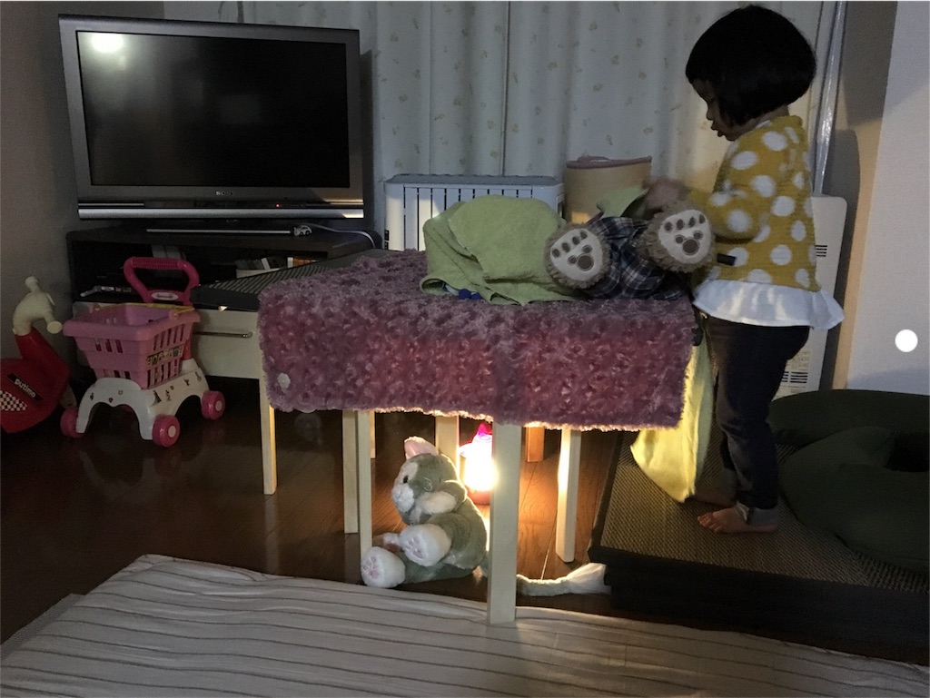 f:id:aohana:20180201161443j:image