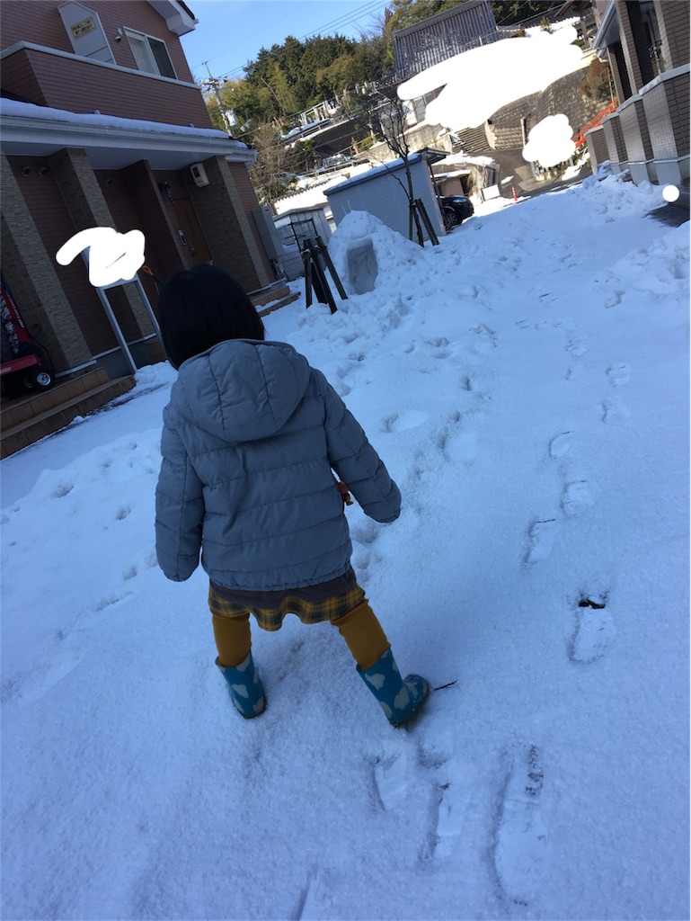 f:id:aohana:20180213172659j:image f:id:aohana:20180213172659j:image