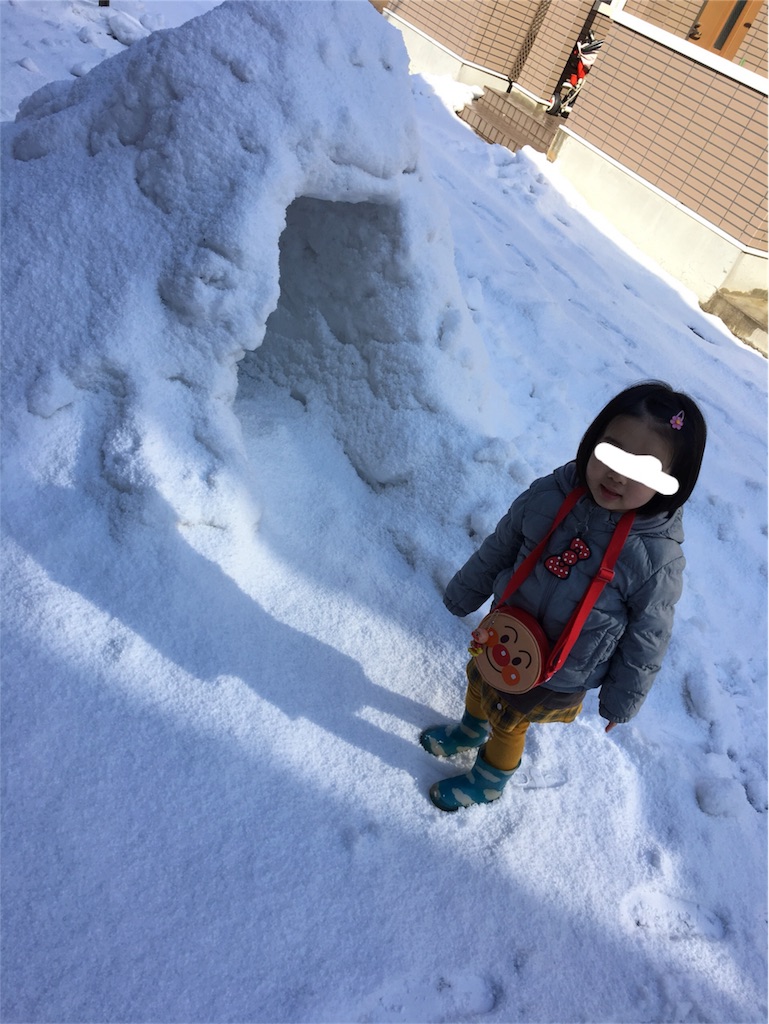 f:id:aohana:20180213172824j:image f:id:aohana:20180213172824j:image