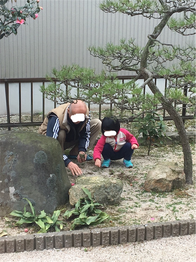 f:id:aohana:20180303204117j:image