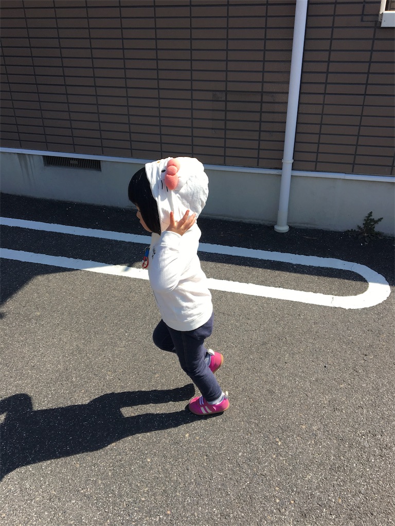 f:id:aohana:20180313153722j:image f:id:aohana:20180313153722j:image