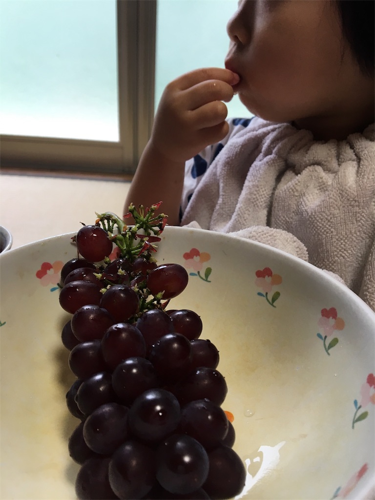 f:id:aohana:20180610214806j:image