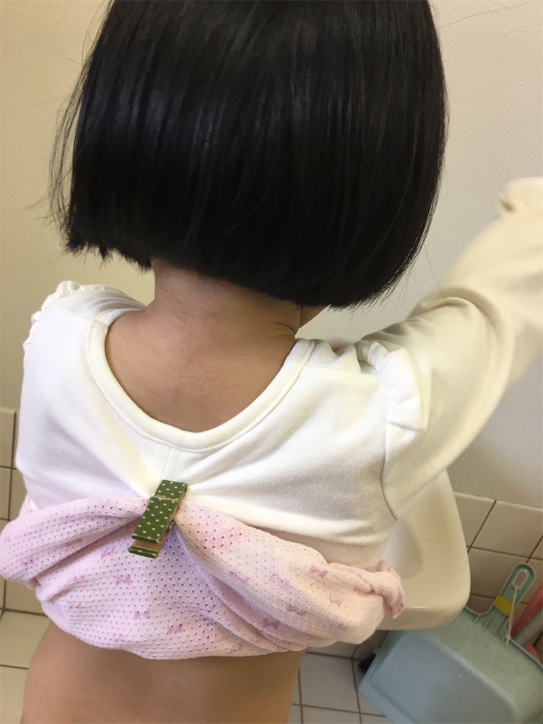 f:id:aohana:20181018071625j:image