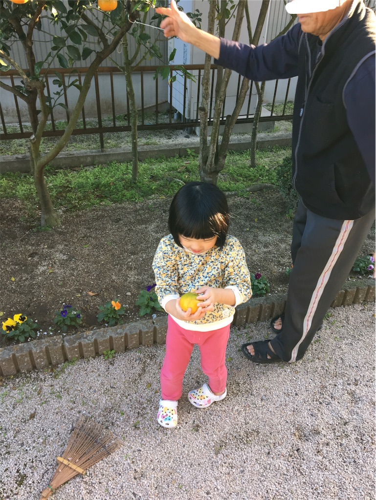 f:id:aohana:20181103212851j:image f:id:aohana:20181103212851j:image