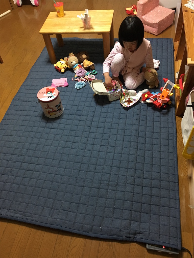 f:id:aohana:20190129190230j:image