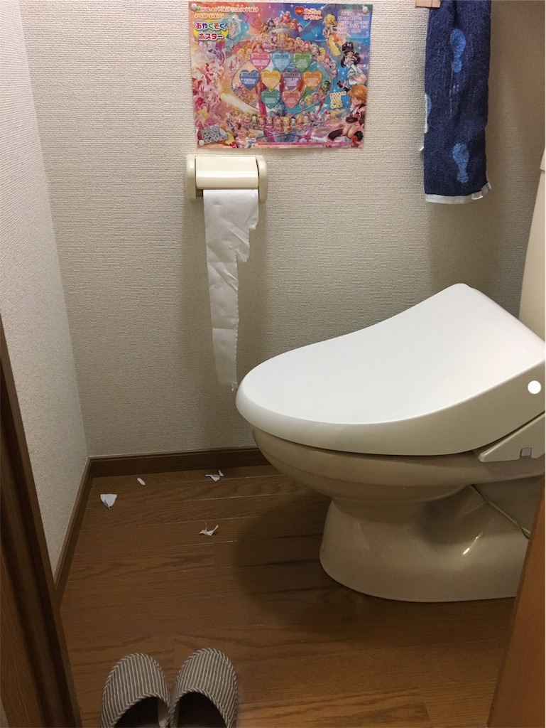 f:id:aohana:20190318204516j:image