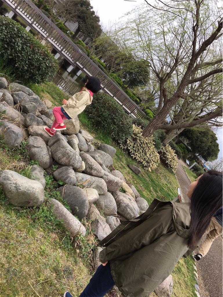 f:id:aohana:20190331220807j:image