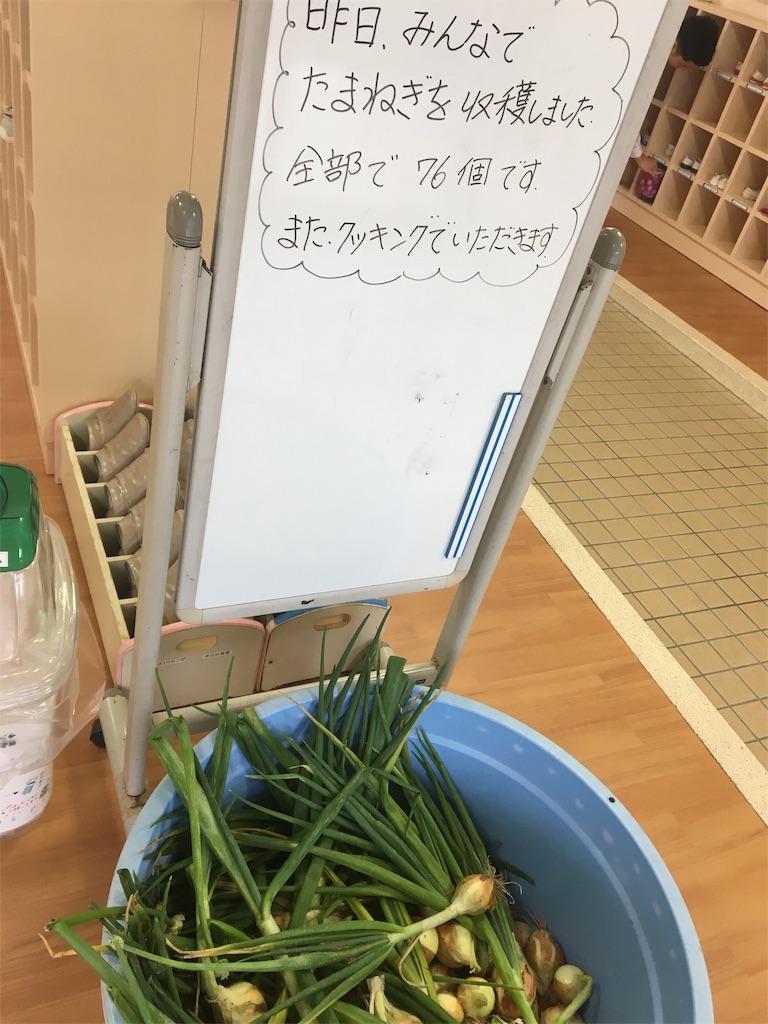 f:id:aohana:20190528091350j:image