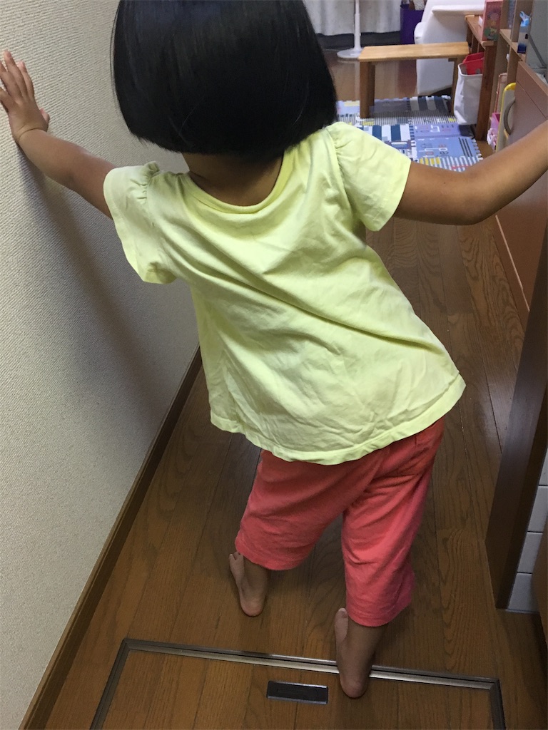 f:id:aohana:20190729002555j:image