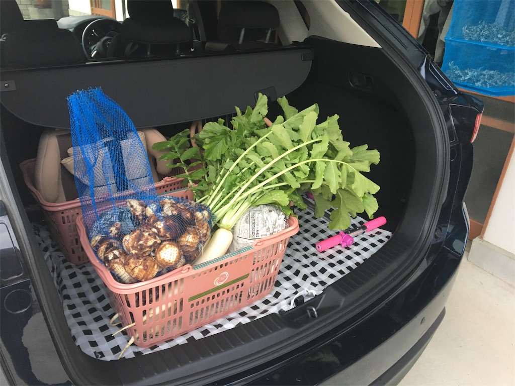 f:id:aohana:20191106201509j:image