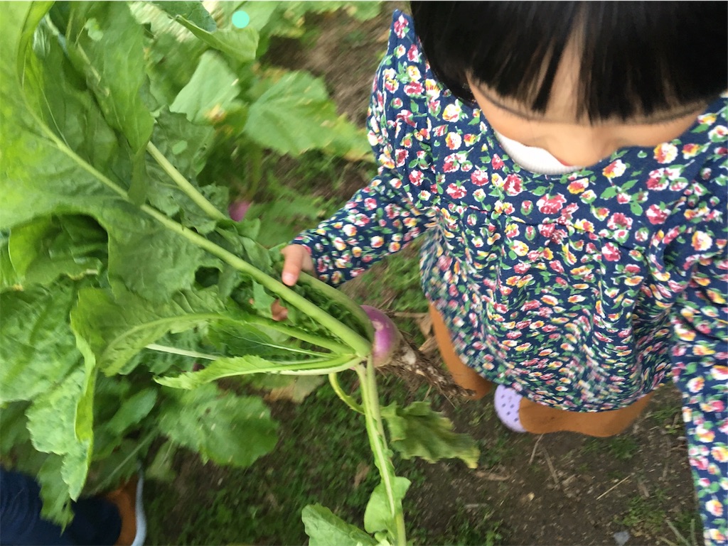 f:id:aohana:20191106201513j:image