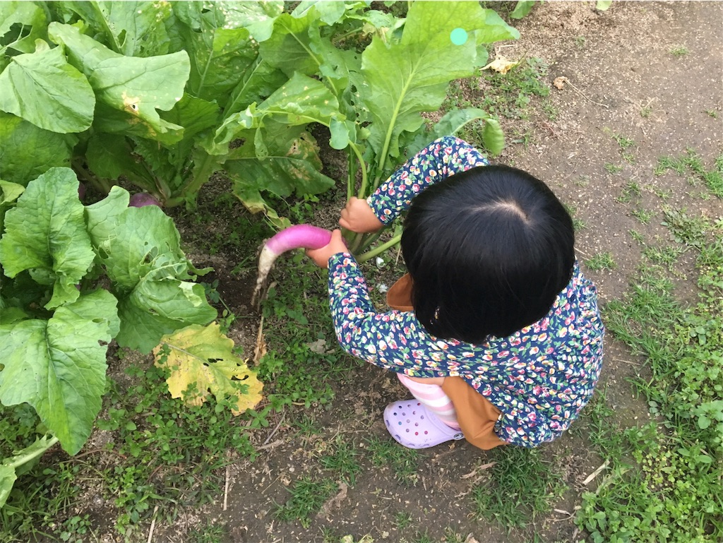 f:id:aohana:20191106201518j:image